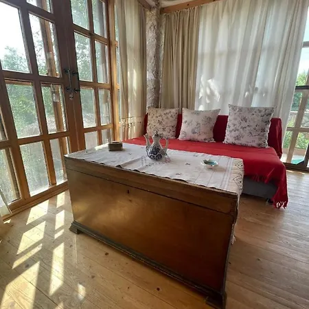 Stonehouse With Sea View And Garden In 博兹布伦